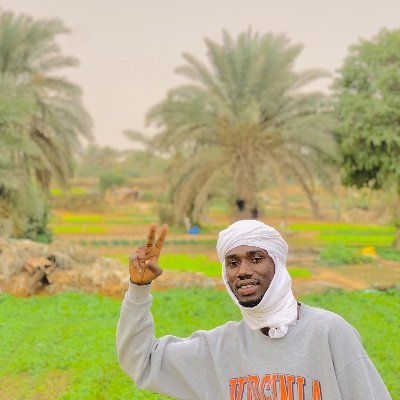 Djibidi42332623's profile picture. Transport logistique