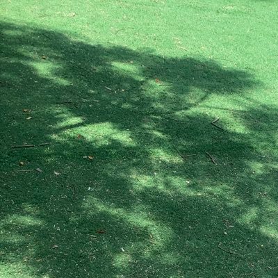 meshchar's profile picture. 