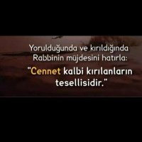 Nurcan Erik (@eriknurcan) Twitter profile photo