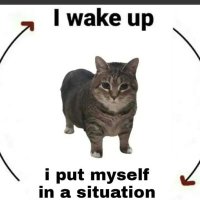 Cypkek (@cypkek) 's Twitter Profile