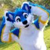 Blaze Husky (@theblazehusky) Twitter profile photo Blaze Husky (@theblazehusky) Twitter profile photo