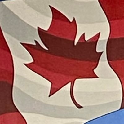 am_garibotti's profile picture. 
