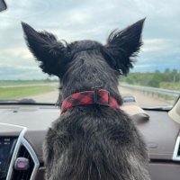 paintchipsfortheleft (@paintchips99) 's Twitter Profile