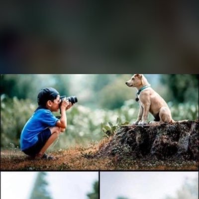 danieljay31's profile picture. 
