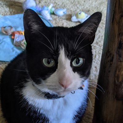 jrloom's profile picture. I'm the guy in the center lane doing the speed limit.
"It's not the band I hate, it's their fans"