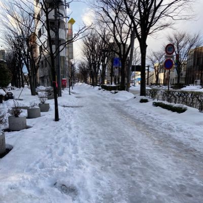 goodall_love's profile picture. 実質動かさないアカウント。仲の良かった人は就職先の合格発表後、別アカウントに招待します。芸術家タイプ。