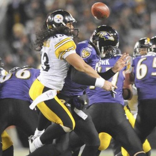 Steelersbucs13's profile picture. 