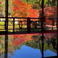 三日月🌙 (@mikazuki2014ss) 's Twitter Profile Photo 三日月🌙 (@mikazuki2014ss) 's Twitter Profile Photo