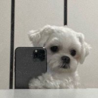 - (@pdecx_) 's Twitter Profile