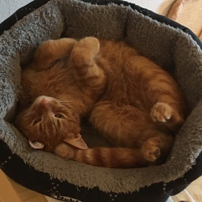 n_an_uk's profile picture. 