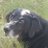 Webster69Dw's profile image