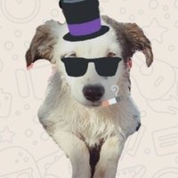 VR Snoop(@RVSnoop) 's Twitter Profile Photo