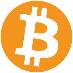 CryptoJ69481199's profile picture. Market, learning to trade.
