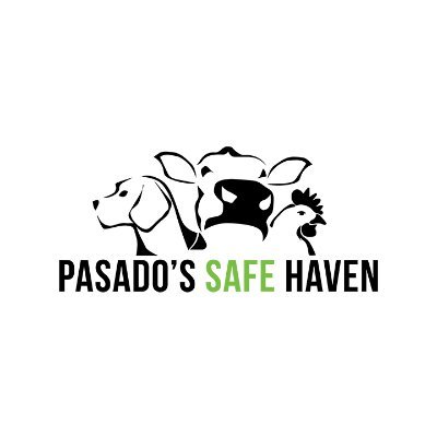 Non-profit animal welfare organization and PNW animal sanctuary on a mission to end animal cruelty. 🐶🐮🐱

#Pasados #GFASCertified