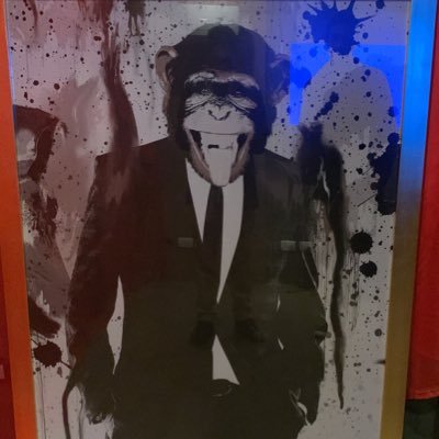 das_jams's profile picture. Tomo vino