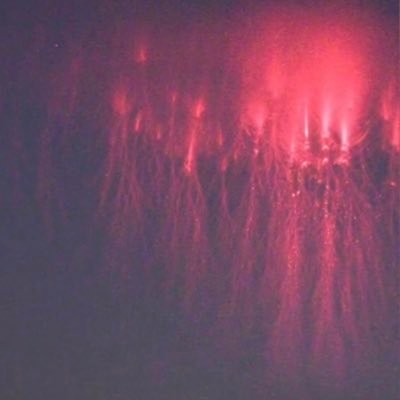 alexander70483's profile picture. Hi