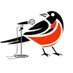 Bird’s Eye View - O's Pod ⚾️ 🎙️ (@birdseyeviewbal) Twitter profile photo Bird’s Eye View - O's Pod ⚾️ 🎙️ (@birdseyeviewbal) Twitter profile photo