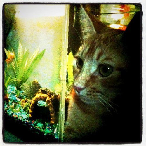 AshleeMaree27's profile picture. 