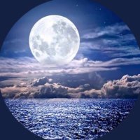 ﮼ابوعبدالله (@amw090) 's Twitter Profile
