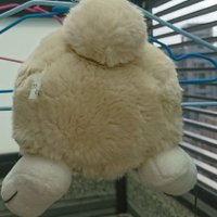 A型。 (@typea_ll) 's Twitter Profile