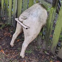 Chris Dobespierre (@dobes) 's Twitter Profile