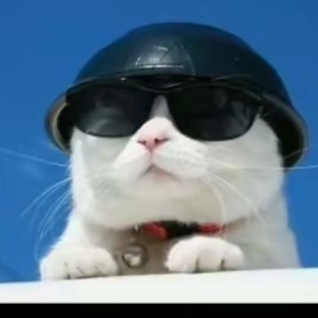 Fufin__'s profile picture. 