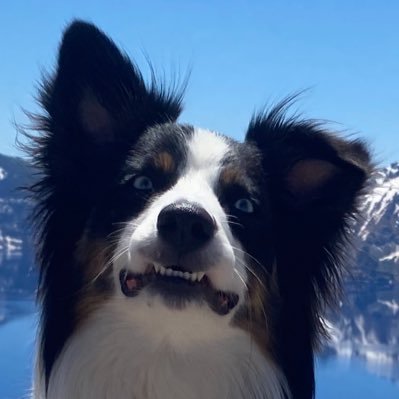 MiseryMisfitsDM's profile picture. D&D, beer and the outdoors! Just a few of my favorite things!