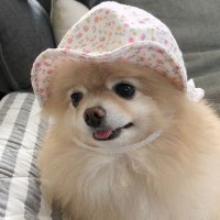 ララママ (@lala163h) 's Twitter Profile