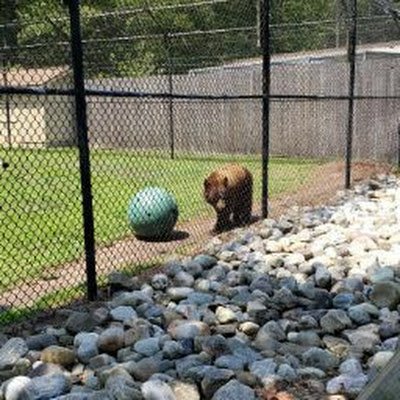 JohnManiscalc19's profile picture. 