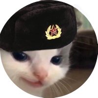 Cat Bastard Quinn (@quinncat13) 's Twitter Profile