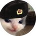 Cat Bastard Quinn (@quinncat13) Twitter profile photo Cat Bastard Quinn (@quinncat13) Twitter profile photo