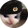 QuinnCat13's profile picture. I just wanna play guitar. Navy Nerd. Go Birds 🦅. LOTR. Star Trek. 40k. Korean. Any pronouns just don’t be an ass. 24. Sharxist. 🦈