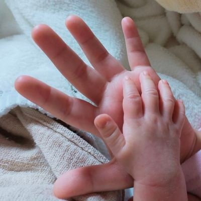 m2777111120's profile picture. 87🙋
✴2017  🐰小3
✴2022.1  🐘年少

子供と仕事🦷とNiziU🌈多め