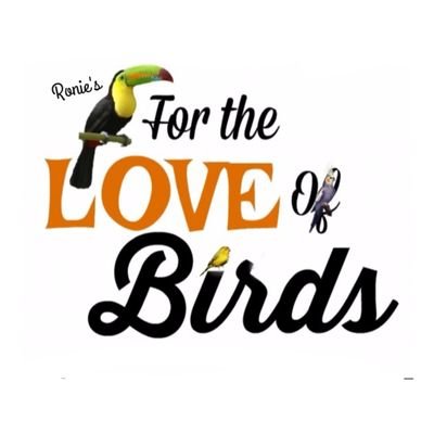 Ronies for The Love Of Birds