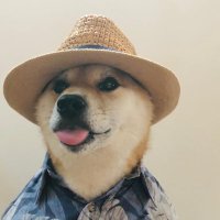 立ちごけボギー (@eh1wa) Twitter profile photo