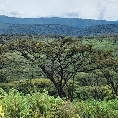 Teacher by profession, Bsc.Ed biology and chemistry, natural conservationist and activist

From Ngorongoro conservation Area