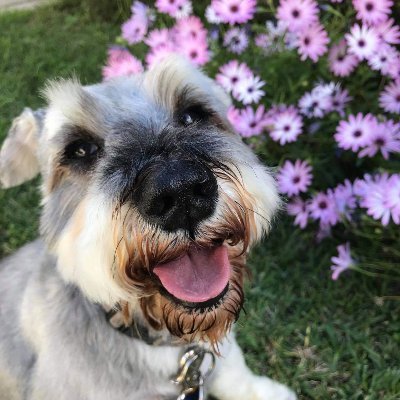 sancco87's profile picture. 