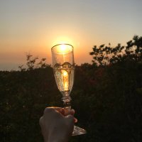 All For Champagne (@hitomichampagne) Twitter profile photo