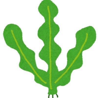 本人周辺B済み🌱取引垢🌱成人済🌱お取引終了後DM削除🌱DM以降後の白紙❌🌱収集→📿🍔、主に🌈🕒の取引 フォロリク🆗