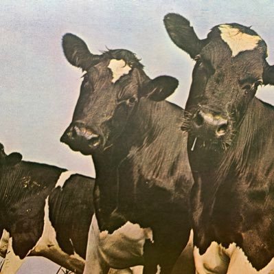 Tamaru36192307's profile picture. 神楽・雅楽を模したアンビエントミュージックやっています。