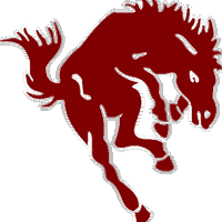 BantingBroncos (@bantingbroncos) 's Twitter Profile
