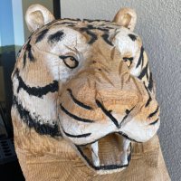 Camp Tiger(@camptiger1) 's Twitter Profile Photo