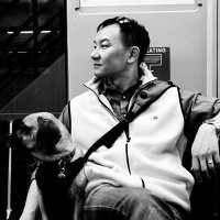 Jeff Hsing (@jeffhsingmd) 's Twitter Profile
