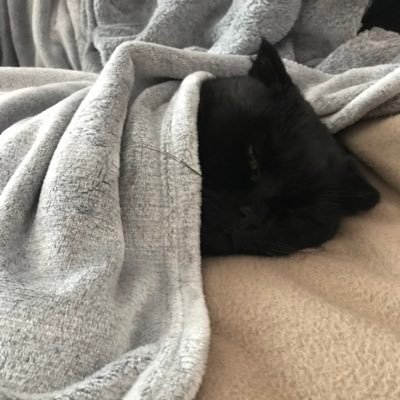 i_paschenko's profile picture. “Close your eyes and he never went away..”