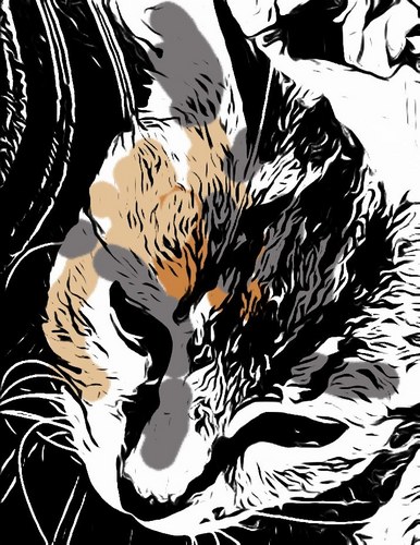 serafina1756's profile picture. 