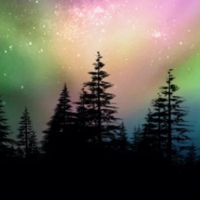 WardThompson12's profile picture. Shoeflower Images, Stock Photos & Vectors | Shutterstock