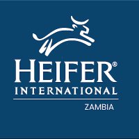 Heifer International Zambia (@heiferzambia) 's Twitter Profile
