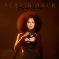 Pervin Okur (@pervinokur3) 's Twitter Profile