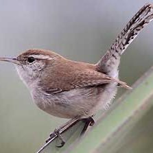 Robin55372704's profile picture. On to the next chapter