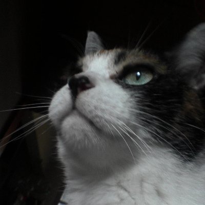 GLNRcnOaFC4IYXE's profile picture. 